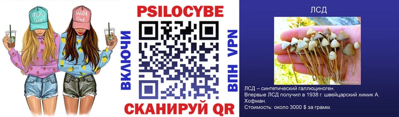 Псилоцибиновые грибы GOLDEN TEACHER  сколько стоит  Разумное 